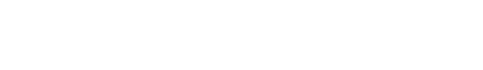 ProAudits
